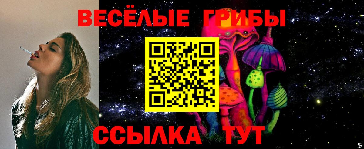Псилоцибиновые грибы Psilocybe Верхний Уфалей